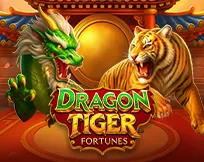 Dragon Tiger Fortunes